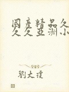 国产精品久久久久久亚洲小说