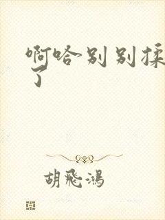 啊哈别别揉那处了