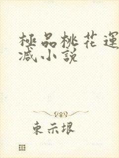 极品桃花运未删减小说