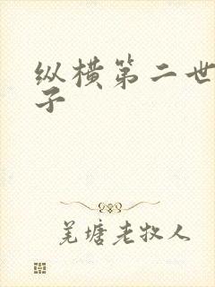 纵横第二世界宽子