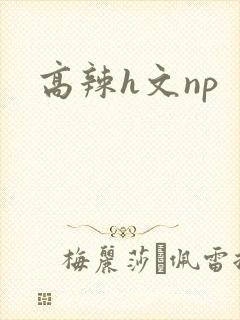 高辣h文np