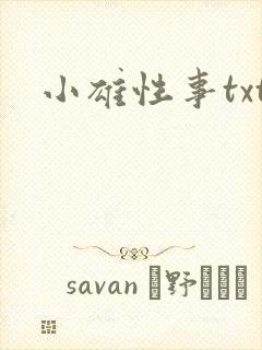 小雄性事txt