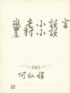 恋老小说言情网农村小说