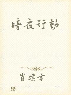 暗夜行动