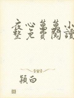 夜心万万小说完整免费阅读全文