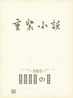 重紫小说