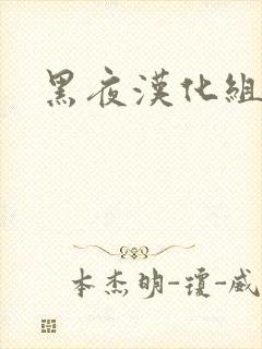 黑夜汉化组
