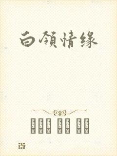 白领情缘