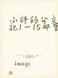 小诗的公交车日记1一15哪里能看