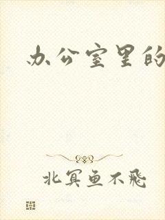 办公室里的故事