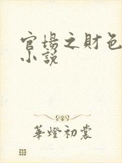 官场之财色诱人小说