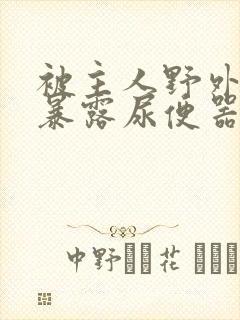 被主人野外调教暴露尿便器