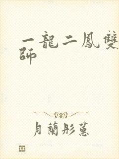 一龙二凤双飞老师