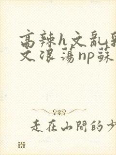 高辣h文乱乳h文浪荡np苏夏