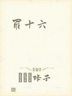 罗十六