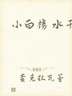 小白杨 水千丞