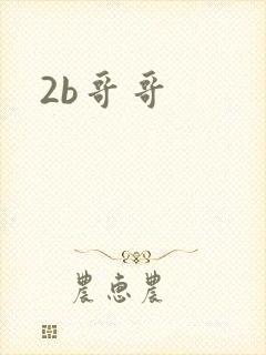 2b哥哥
