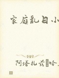 家庭乱日小说
