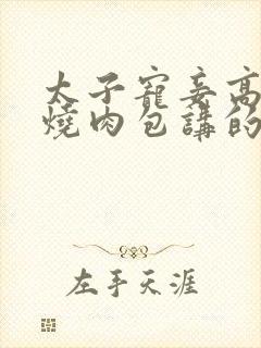 太子宠妾高肉红烧肉包讲的什么