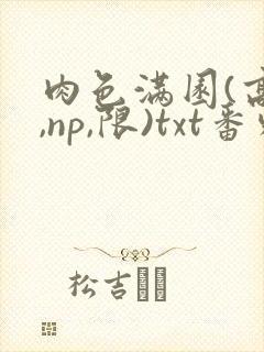 肉色满园(高h,np,限)txt番外篇