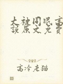 大被同眠高粱小说原文免费阅读