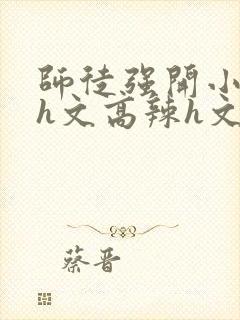 师徒强开小嫩苞h文高辣h文