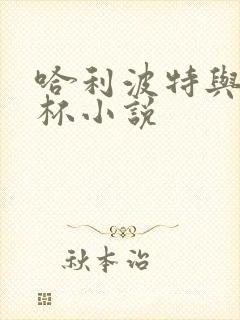 哈利波特与火焰杯小说