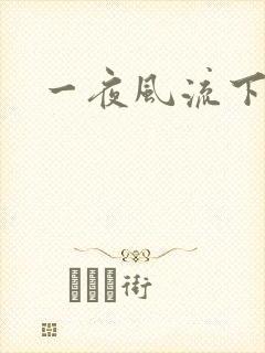 一夜风流下载
