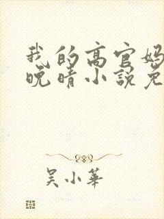 我的高官妈妈苏晚晴小说免费阅读