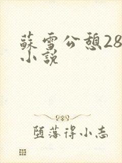 苏雪公憩28篇小说