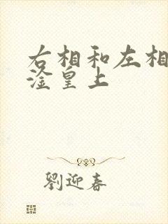 右相和左相一起淦皇上