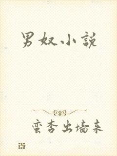 男奴小说