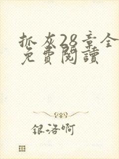 抓灰28章全部免费阅读