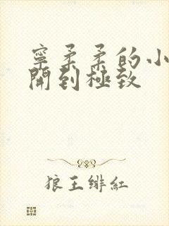 宁柔柔的小泬撑开到极致