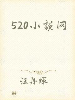 520小说网