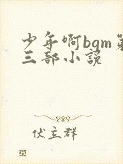 少年啊bgm第三部小说