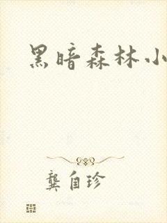 黑暗森林小说