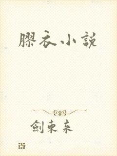 胶衣小说