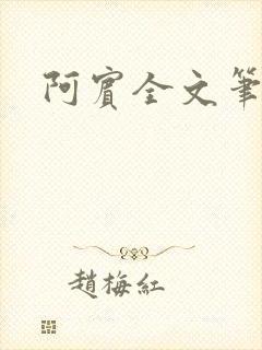 阿宾全文笔趣阁
