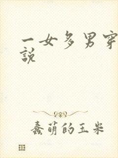 一女多男穿越小说