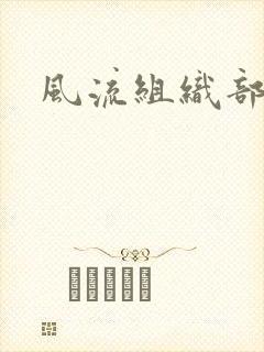 风流组织部长