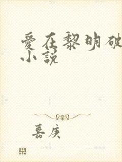 爱在黎明破晓前小说