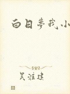 白日梦我小说