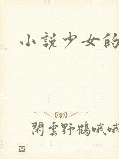 小说少女的心
