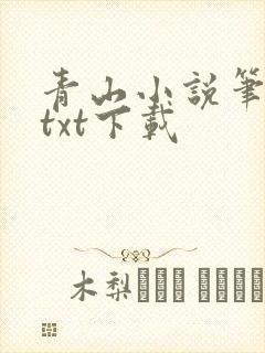 青山小说笔趣阁txt下载