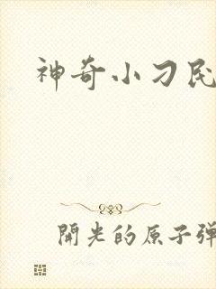 神奇小刁民