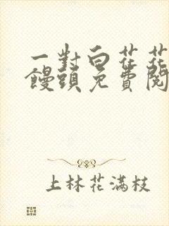 一对白花花的大馒头免费阅读