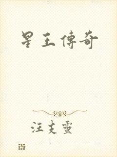 星王传奇