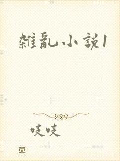 杂乱小说1