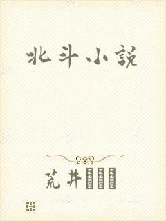 北斗小说